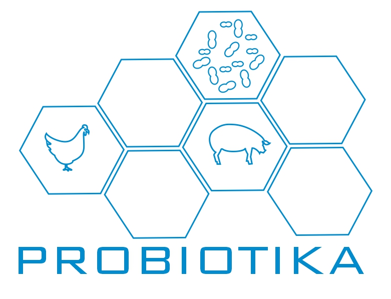 Progiotika