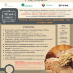 Vuvel Academy Seminar