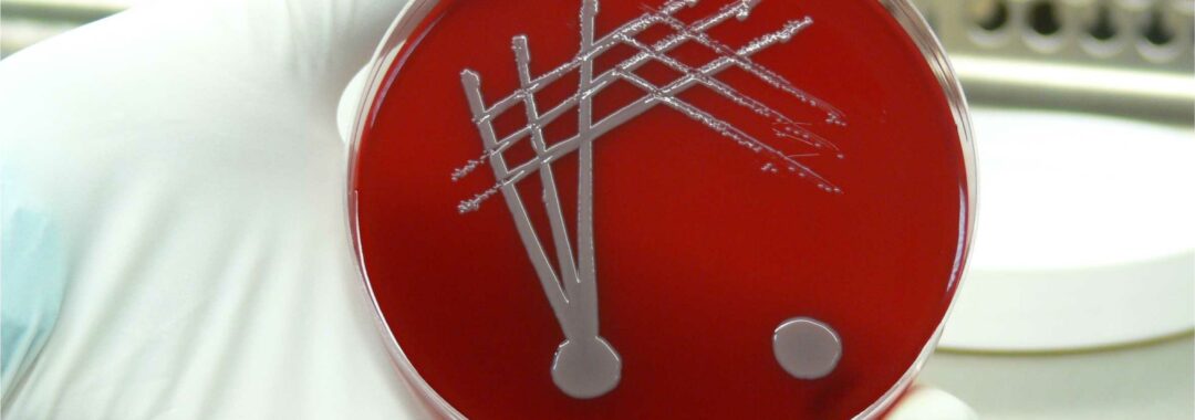 MikrobiolLab