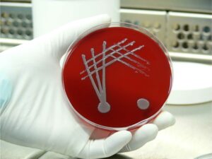 MikrobiolLab