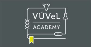 Vuvel Academy 720x370 Seda 1 300x154