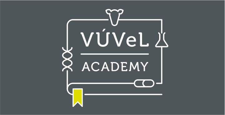 Vuvel Academy 720x370 Seda 1