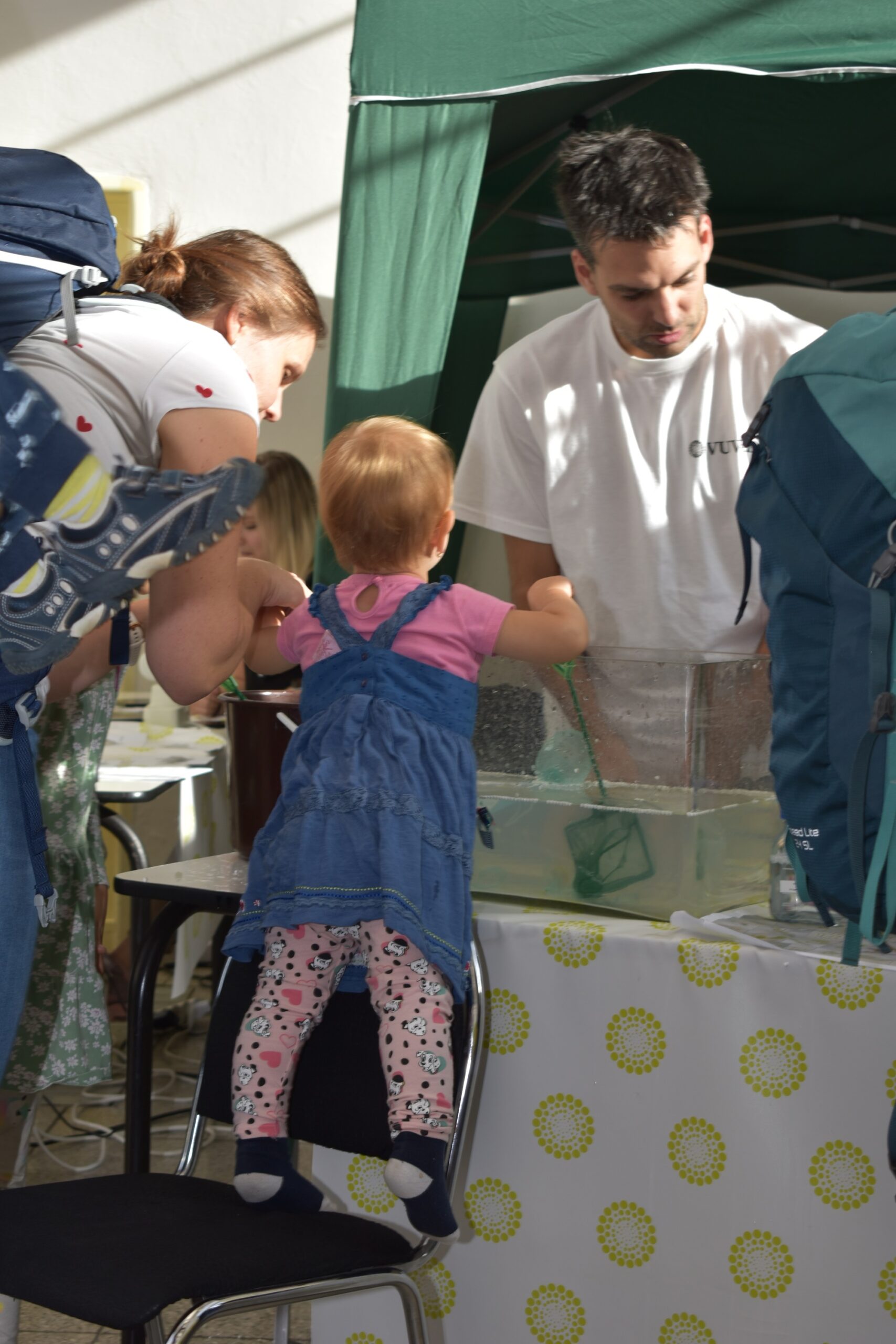 Festival vědy