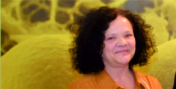 Nedbalcova