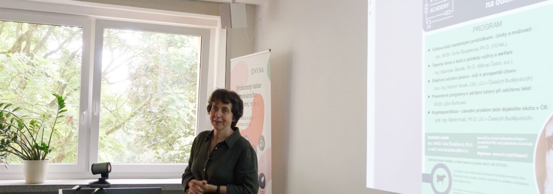 VÚVeL Academy 8. 6. 2023 – Prosperita chovu skotu závisí na odchovu telat a jalovic