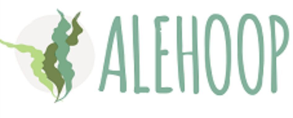 Logo Alehoop 1 946x380