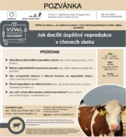 2023 10 18 Chov Skotu 184x200