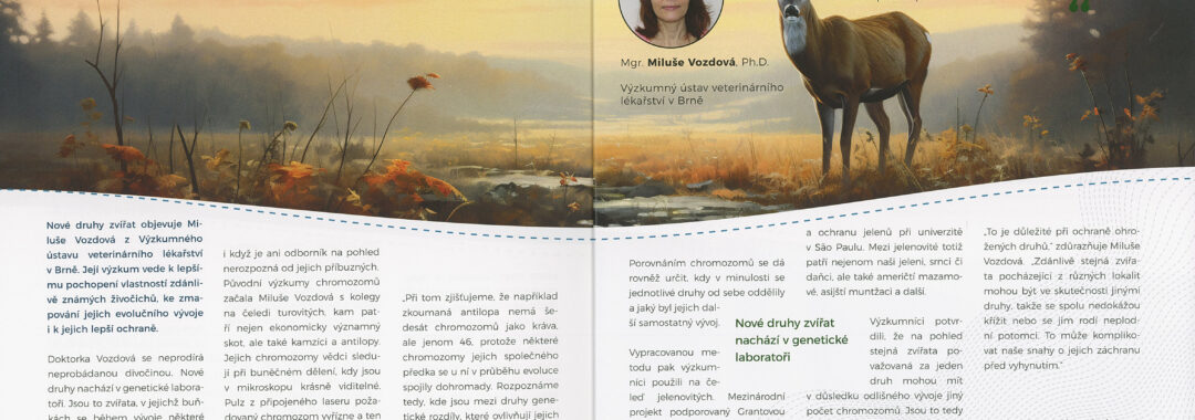 Scan 2 2