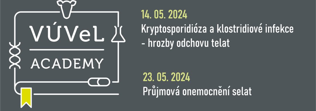 Obecný na web5