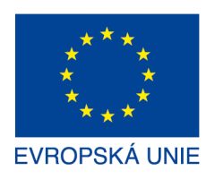 EU Logo S Textem RGB Cz