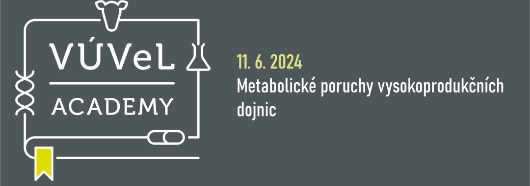Obecný na web6