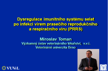 Toman