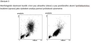 Den Psu2