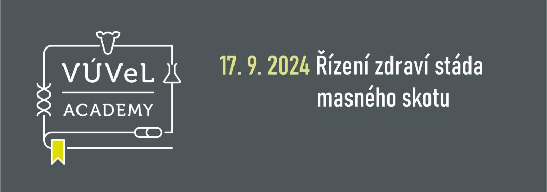 Obecny Na Web