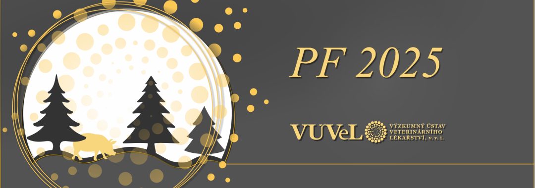 PF2025na Web 2