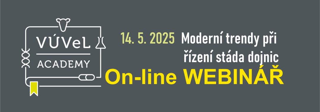 Obecny Na Web11