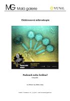Uvodni El Mikroskopie2025