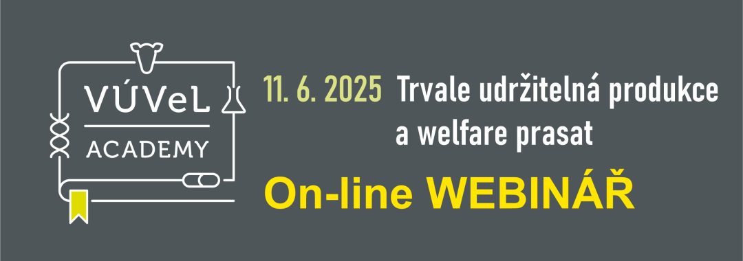 Obecny Na Web12