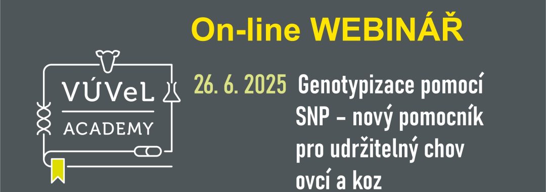 Obecny Na Web13