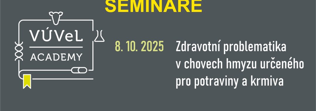 Obecny Na Web15