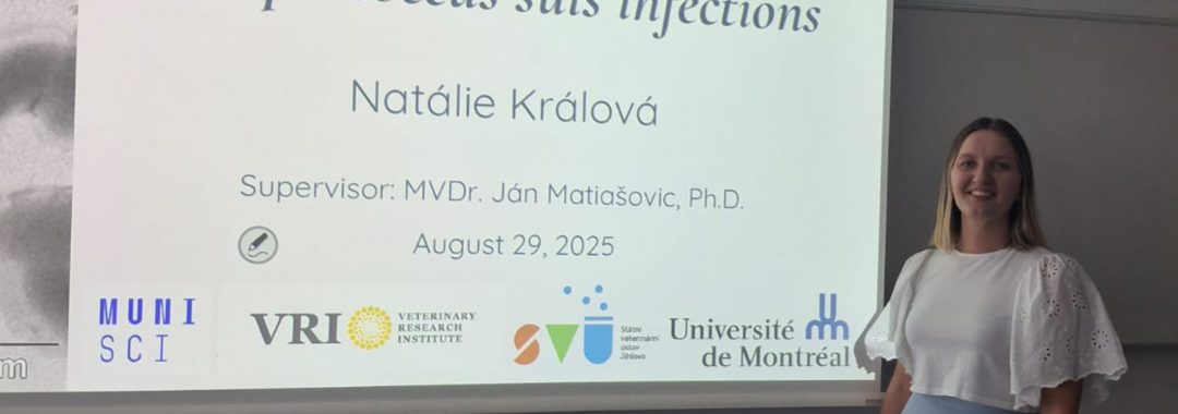 Uvodni 2