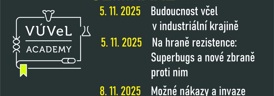 Obecny Na Web18