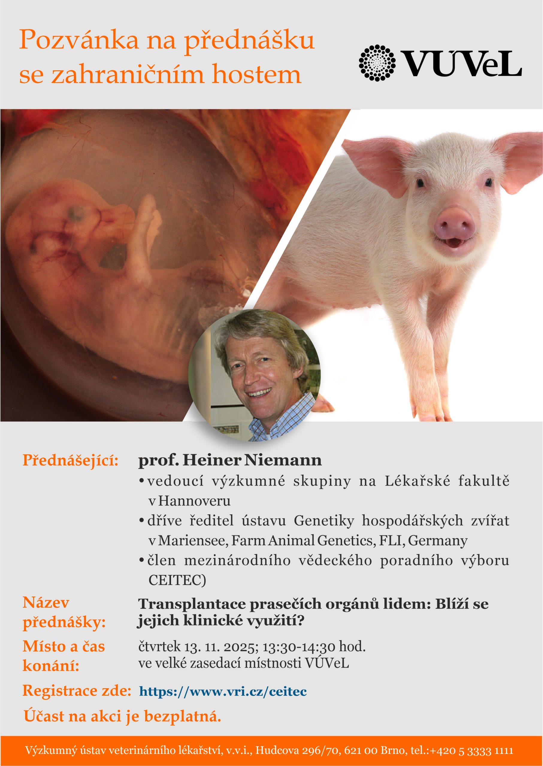 Pozvanka Niemanna 1 Scaled