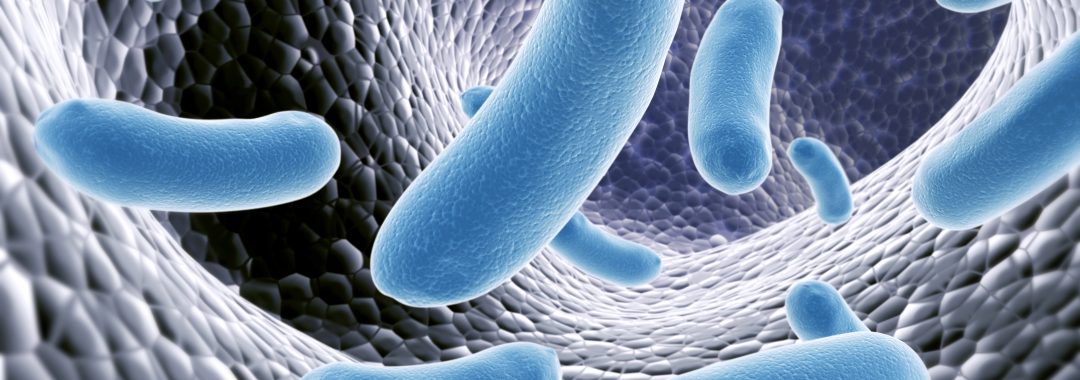 Depositphotos 5385521 XL