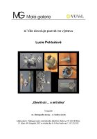 Fin Plakat Lucie Pokludova MG 2025