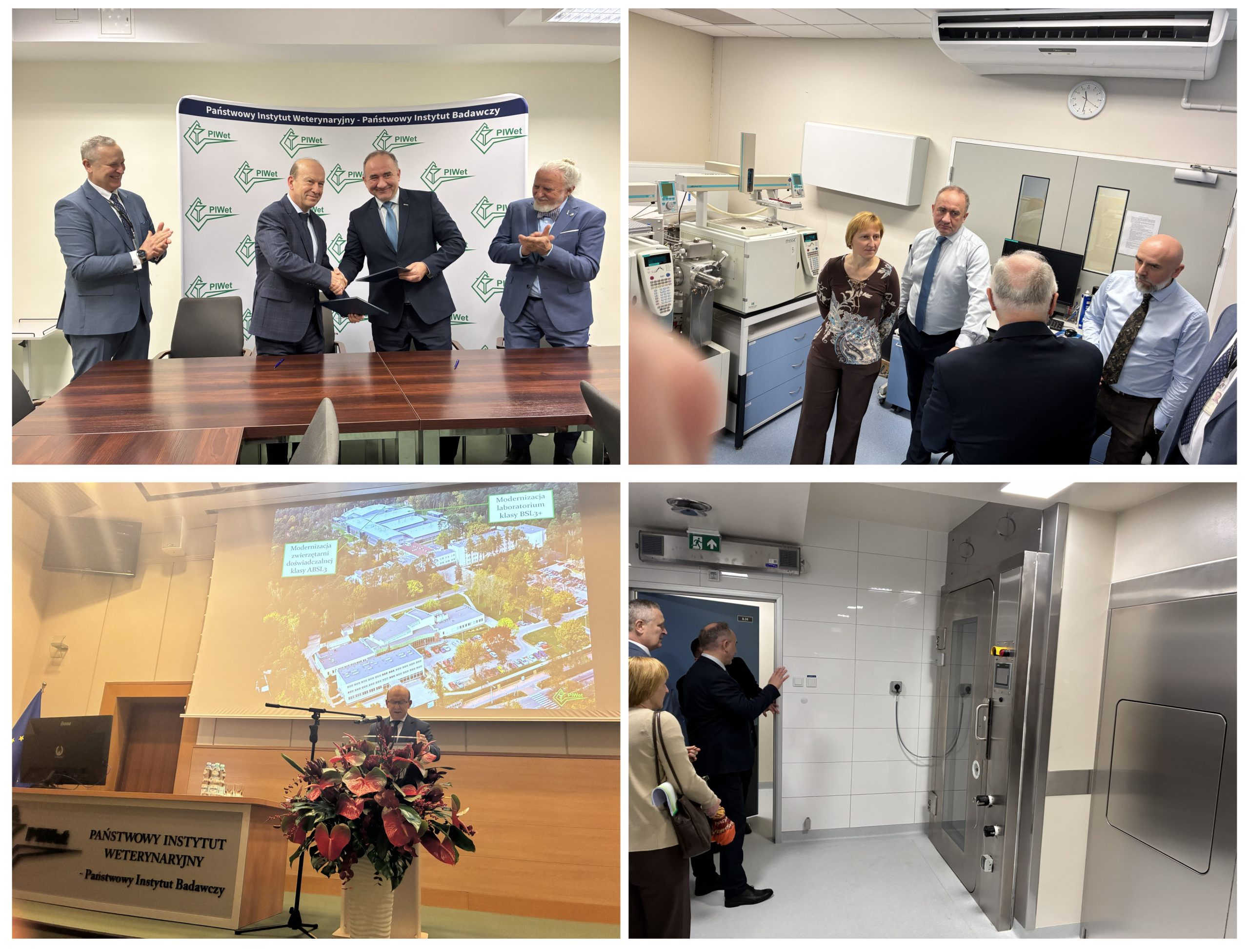 Koalz Pulaw 2 Scaled