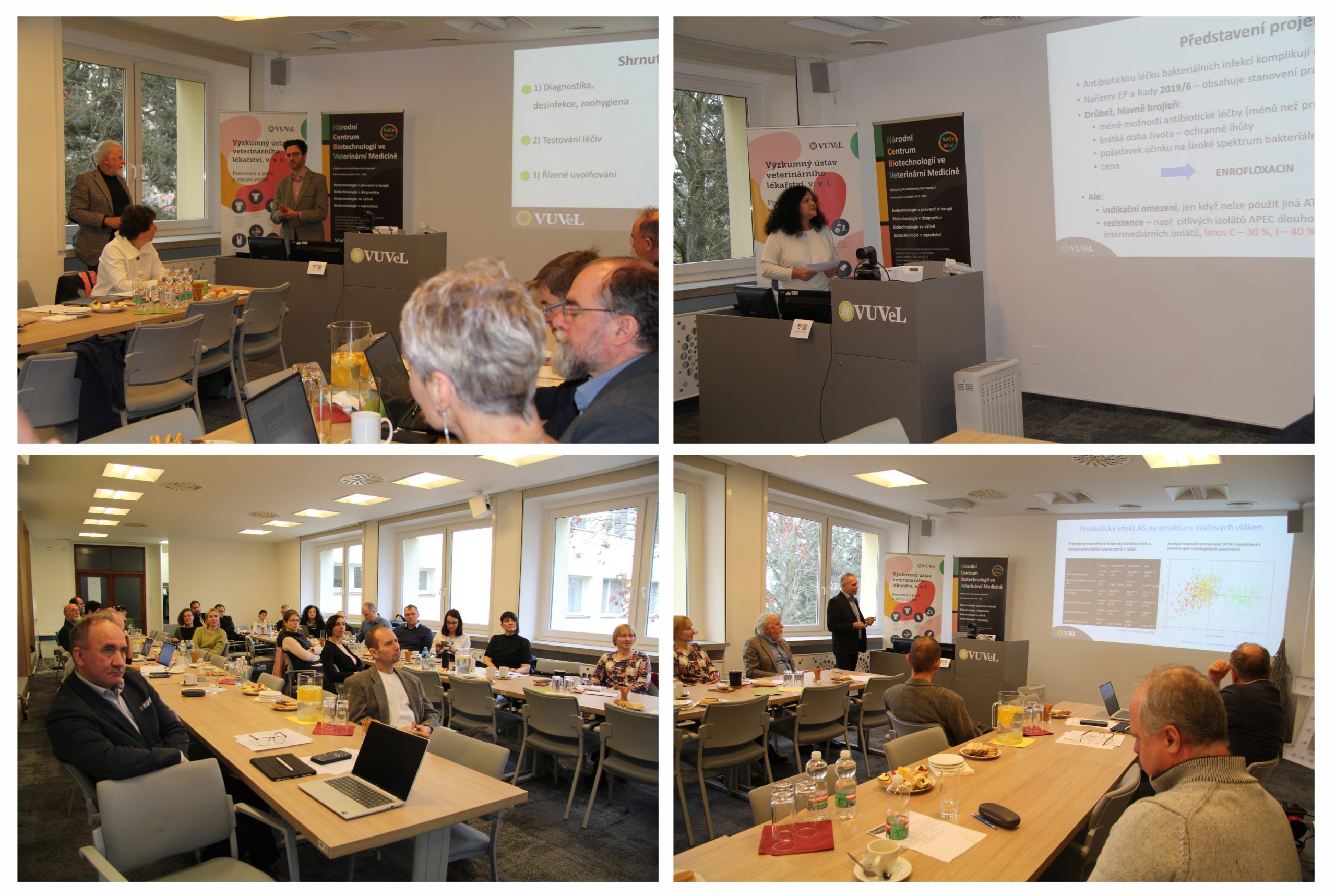 Kolaz Rozpravy Scaled