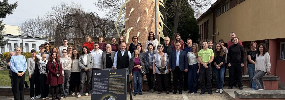 IMG 5095 Scaled E1774553761441