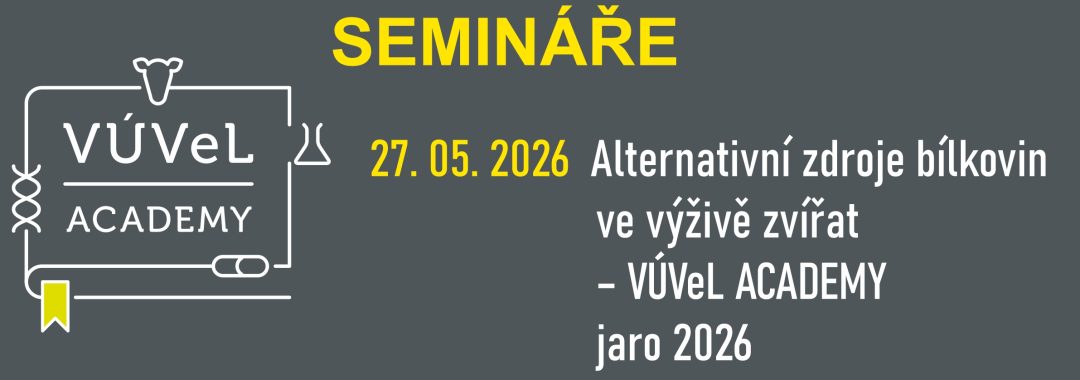 Obecny Na Web20 E1776928412634