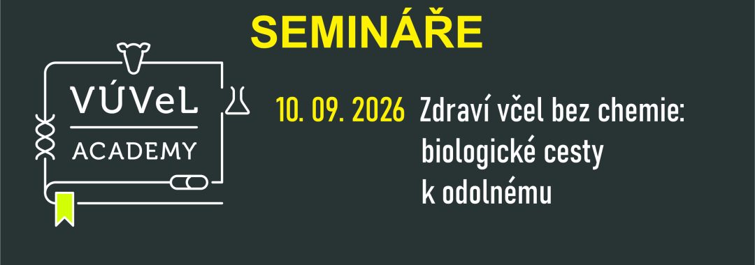 Obecny Na Web21