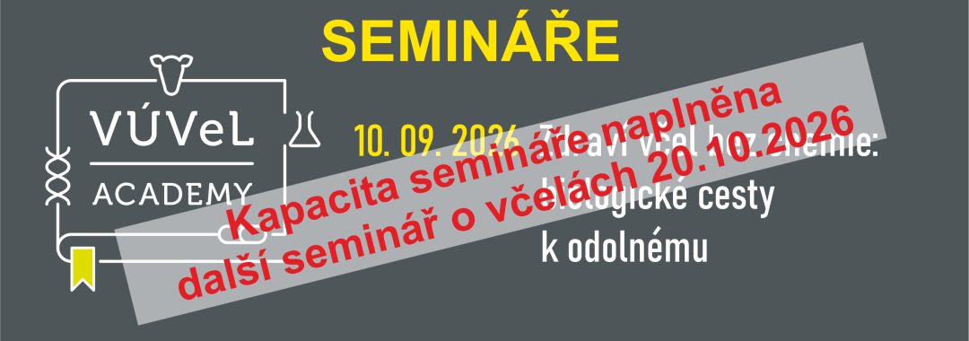 Obecny Na Web22
