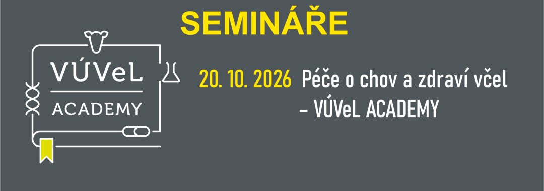 Obecny Na Web23