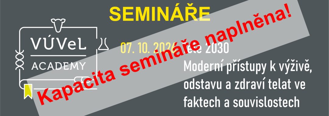 Obecny Na Web26