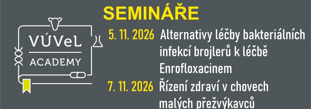 Obecny Na Web27